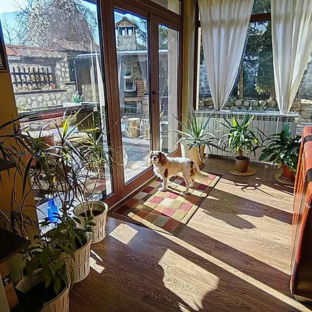 Hotel Famil - Adults Only 3*