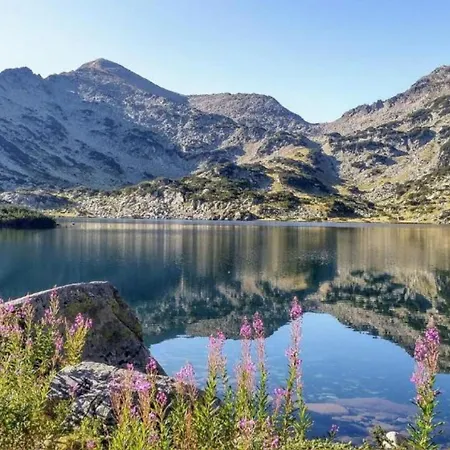 Famil - Adults Only Bansko