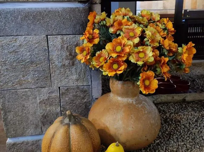 Hotel Famil - Adults Only Bansko