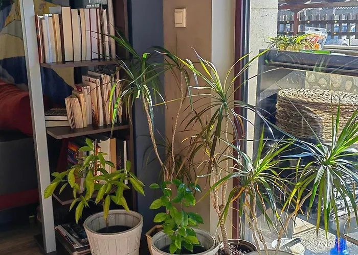 Famil - Adults Only Hotel Bansko